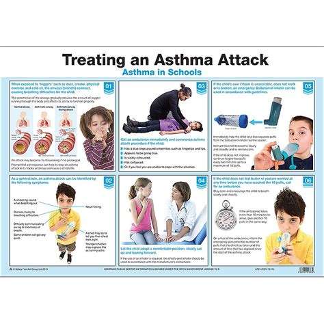 How to Help a Child With Asthma: 15 Steps (with Pictures)