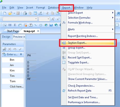 How to Indicate Blank Results in Crystal Reports SkillForge