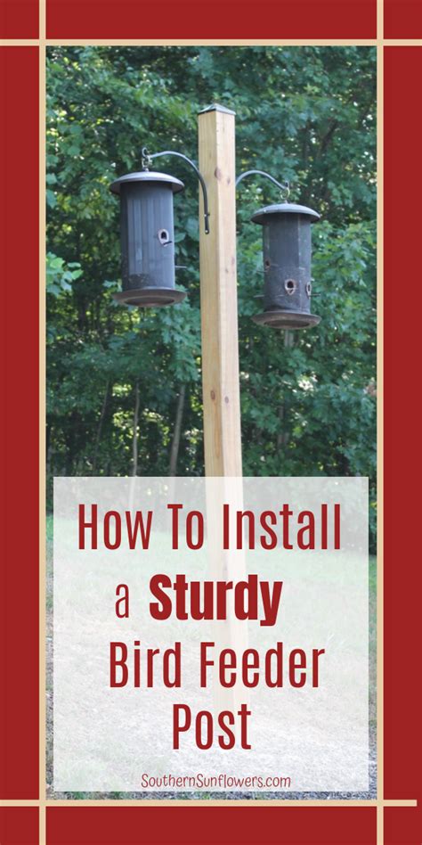 How to Install a Sturdy Bird Feeder Post - Southern Sunflowers