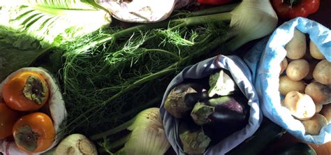 How to Invest in (Fennel) Stalks and Fronds - Zero-Waste Chef