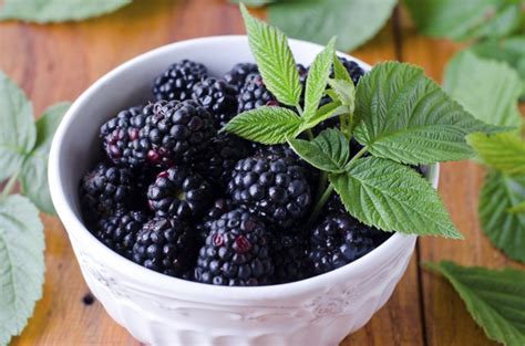 How to Juice Blackberries eHow