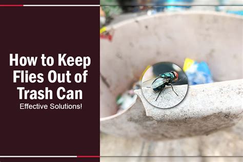 How to Keep Flies Out of Trash Can Effective Solutions!