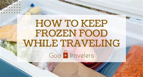 How to Keep Frozen Food while Traveling - Goo Travelers