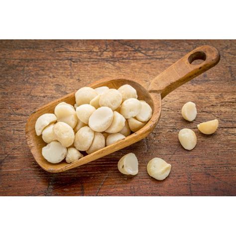 How to Keep Macadamia Nuts Fresh Our Everyday Life