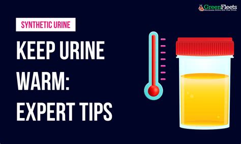 How to Keep Urine Warm For Drug Test The Ultimate Guide