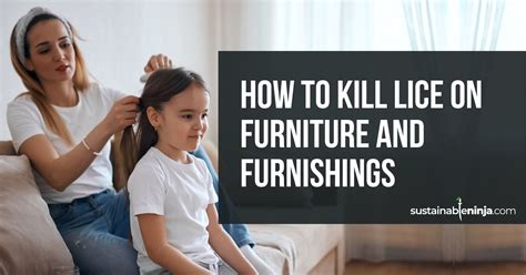 How to Kill Lice on Furniture and Furnishings (6 easy steps)