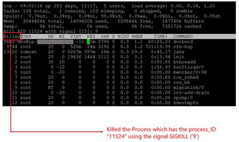 How to Kill Processes in Unix/Linux - DZone