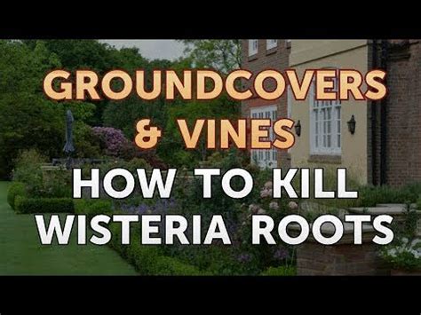 How to Kill Wisteria Roots eHow