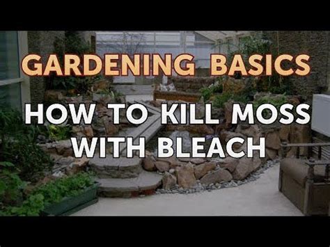 How to Kill moss with bleach - Lincoln Moss Removal