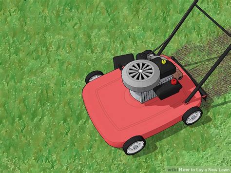 How to Lay a New Lawn (with Pictures) - wikiHow