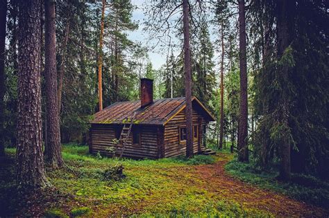 How to Live Off the Grid Why You Should Do It amp What You Need