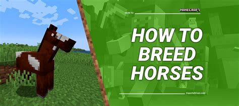 How to Make A Horse In Minecraft Step by Step Guide Answered 2022 Droidrant