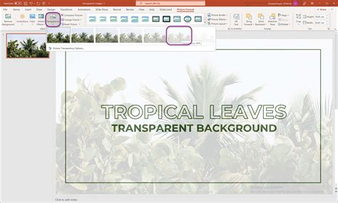 How to Make An Image Transparent in Powerpoint