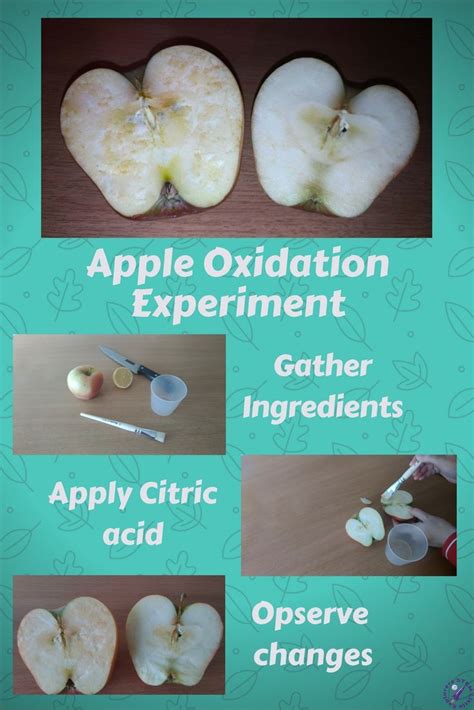 How to Make Apple Oxidation Experiment - STEM …