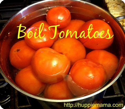 How to Make Crushed Tomatoes - My Frugal Home