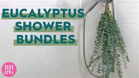 How to Make DIY Eucalyptus Shower Bundles - Better Homes & Gardens