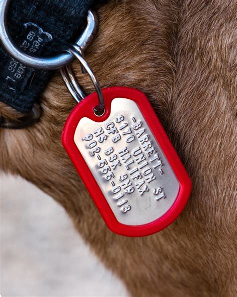 How to Make Dog Tags - Pet With It