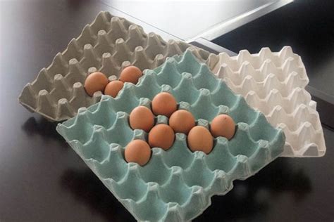 How to Make Egg Trays From Waste Paper? - Beston