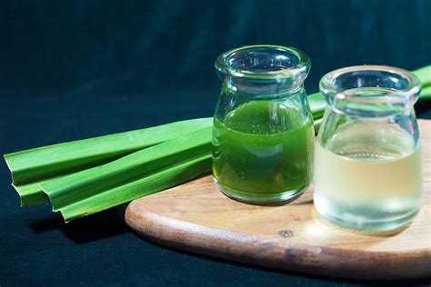 How to Make Pandan Syrup and Use it in Cocktails