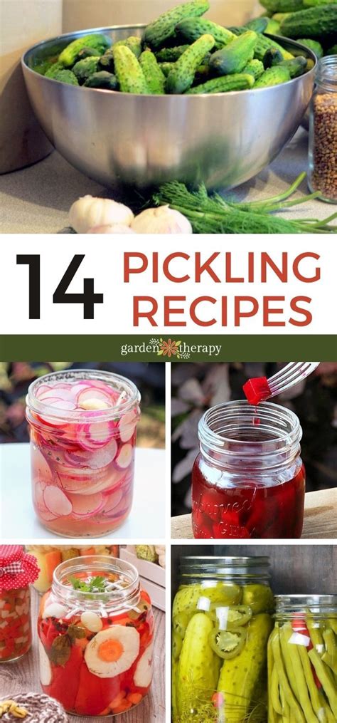 How to Make Pickles + 14 Garden-Fresh Pickle Recipes to Try