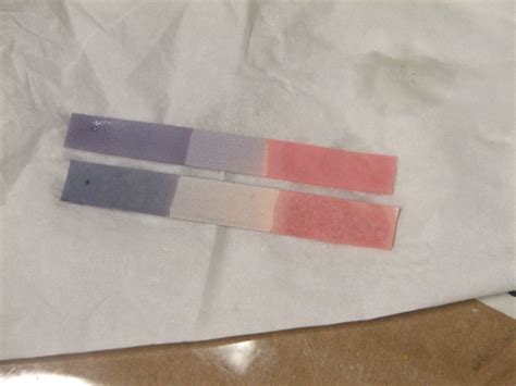 How to Make Your Own Neutral Litmus Paper - Owlcation