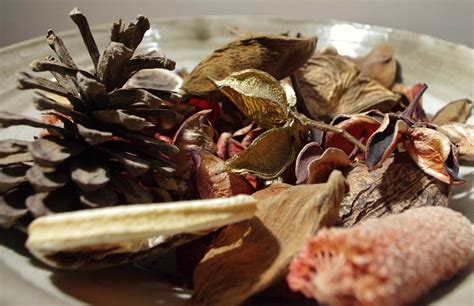 How to Make Your Own Potpourri - One Green Planet