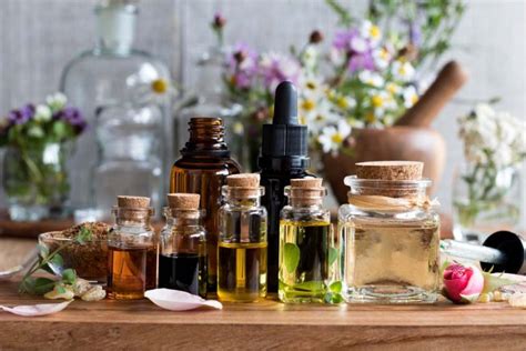 How to Make Your Own Tinctures, Salves, and Essential Oils