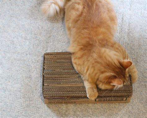 How to Make a Corrugated Cardboard Cat Scratcher Two Tutorials