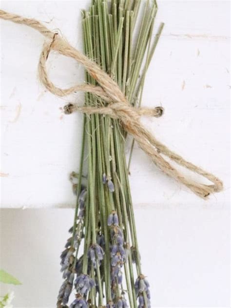 How to Make a DIY Dried Flower Wall Hanging Hometalk