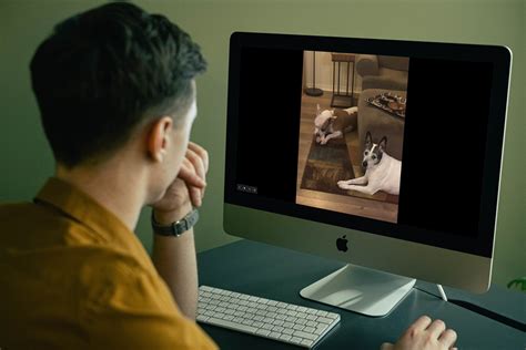 How to Make a Google Photos Slideshow Digital Trends