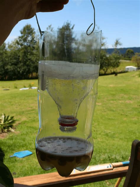 How to Make a Homemade Fly Trap with a Regular Plastic Bottle Clean