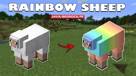 How to Make a Rainbow Sheep in Minecraft All details you need to know 