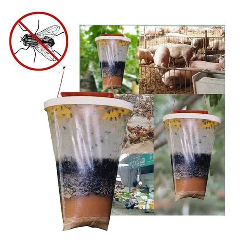 How to Make an EcoFriendly Fly Trap YouTube