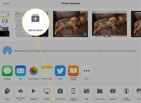 How to Move Photos to a Custom Album on an iPad