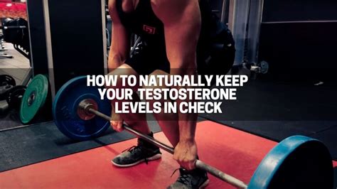 How to Naturally Keep Your Testosterone Levels in Check Great Green Wall