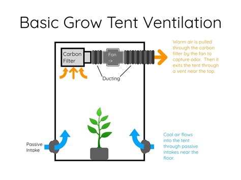 How to Optimize Your 4x4 Grow Tent Ventilation Setup