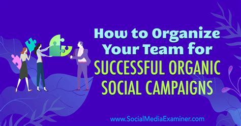 How to Organize Your Team for Successful Organic Social Campaigns