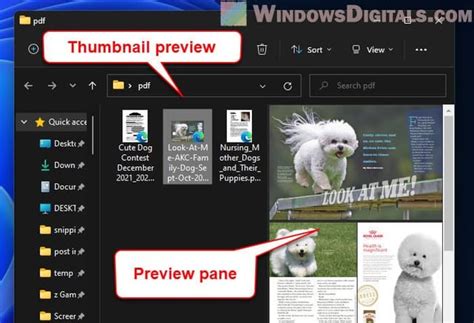 How to PDF thumbnail preview in Explorer Tutorial - UNBLOG