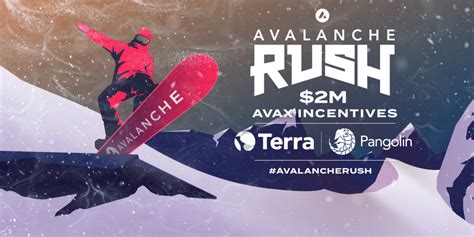 How to Participate in Avalanche Rush