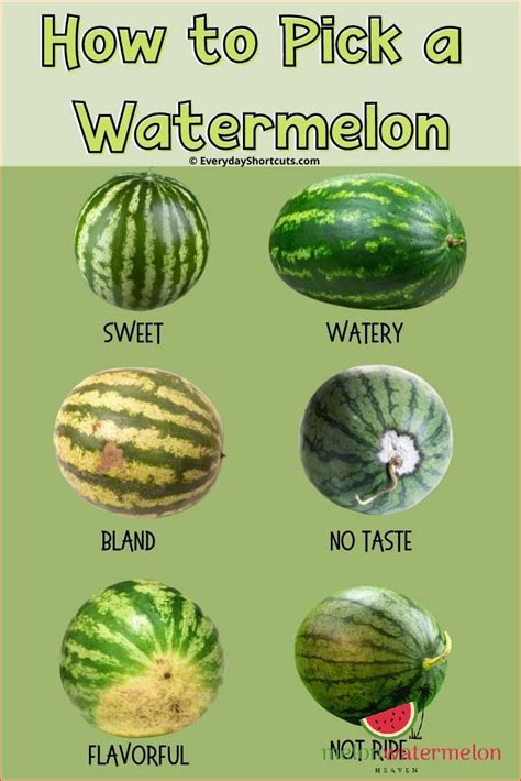 How to Pick the Perfect Watermelon Expert Advice and Techniques