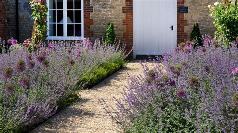 How to Plant and Grow Lavender Gardener’s Path