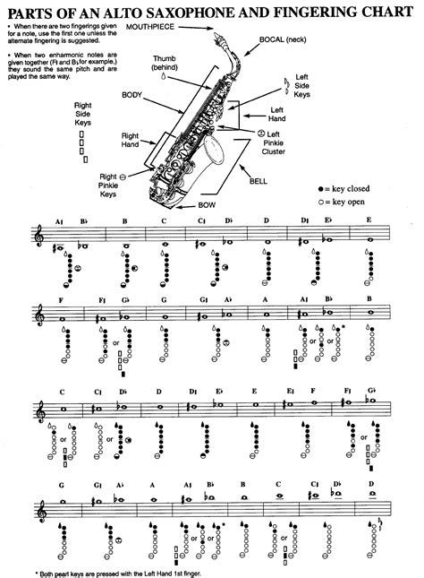 How to Play Alto Saxophone Notes for Beginners