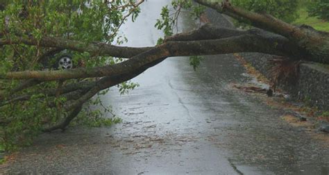 How to Prepare for a Cyclone Westpac