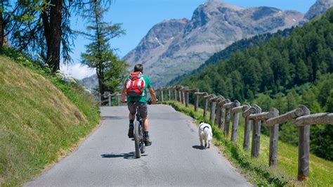 How to Prepare for and Save on Long Distance Bike Rides
