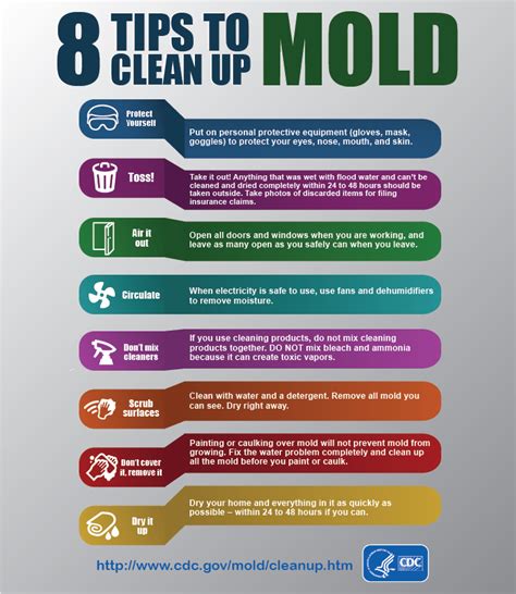 How to Prevent Mold After Flood 2024 - Ablison