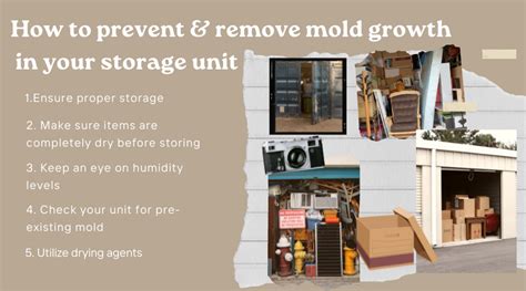 How to Prevent Mold in Your Storage Unit in Texas