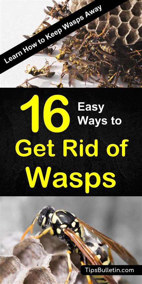 How to Prevent Wasps & Birds from Building Their Nests in Your Mason