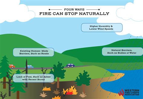 How to Prevent Wildfires WFCA