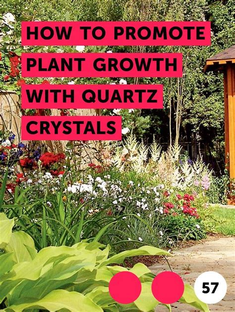 How to Promote Plant Growth With Quartz Crystals