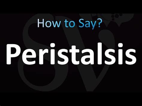 How to Pronounce "Peristalsis" - YouTube